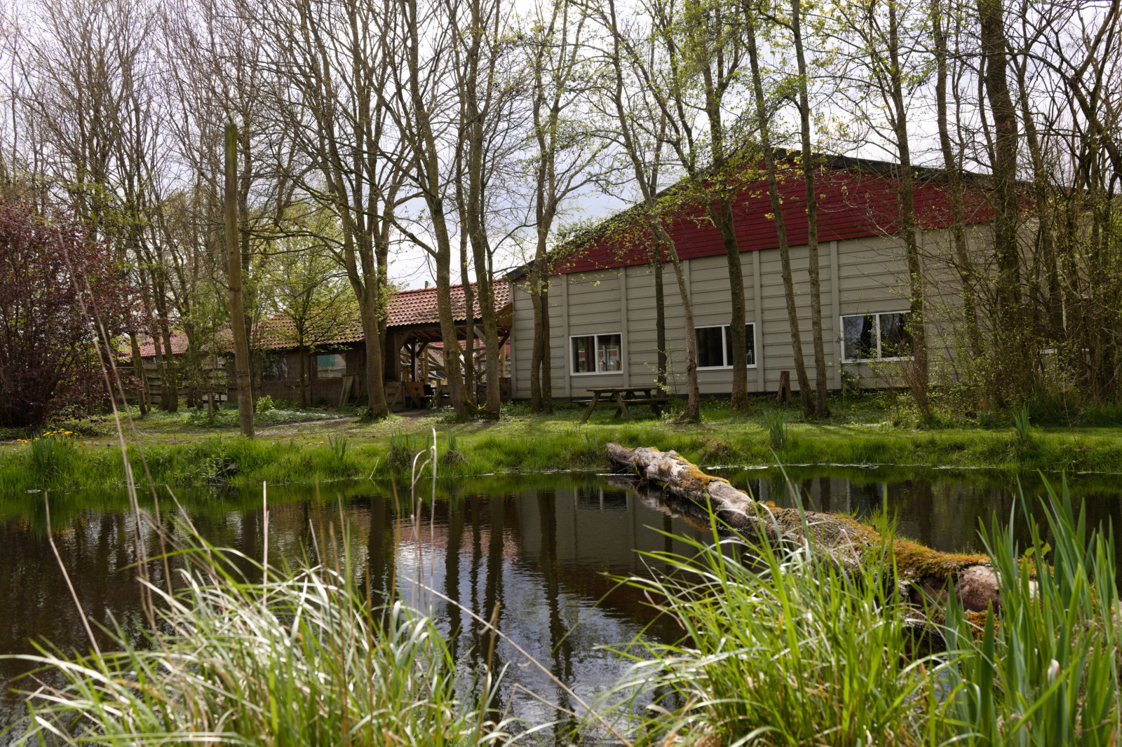Vakantieboerderij in Baarlo-(Ov.) voor 104 personen foto 7