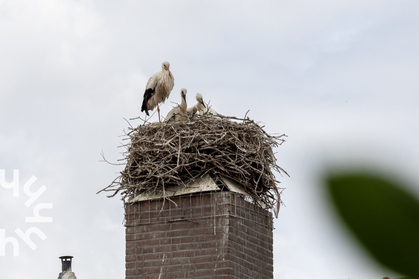 Appartement OV686 in Blokzijl in Blokzijl – foto 3 uit de partnerbron