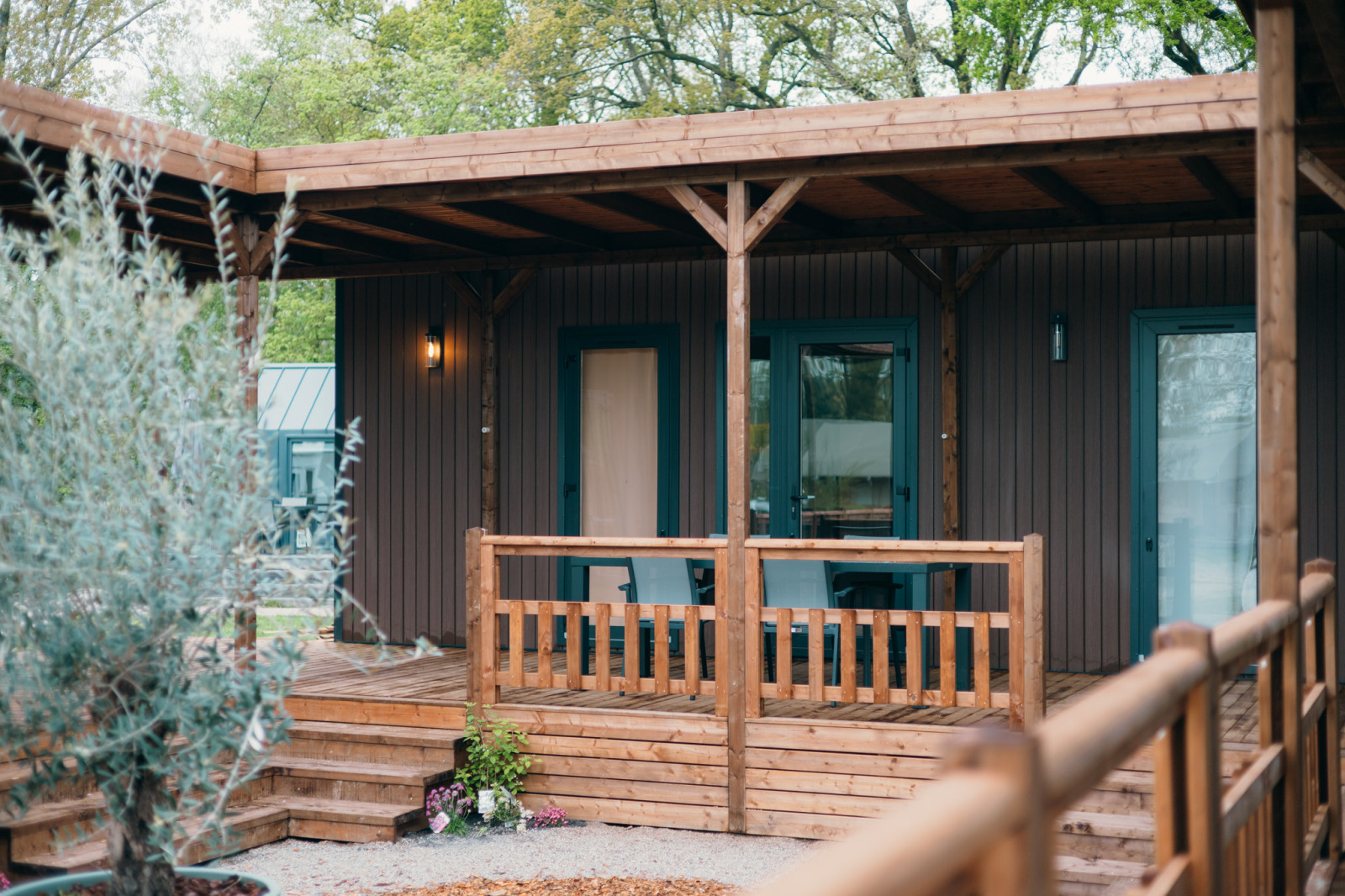Luxe Lodge voor 4 personen aan de rand van de Sallandse Heuvelrug - Nederland - Europa - Nieuw Heeten