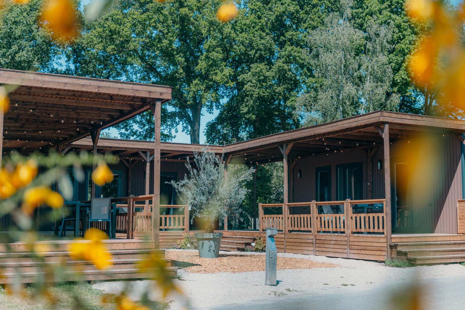 Luxe Lodge voor 4 personen aan de rand van de Sallandse