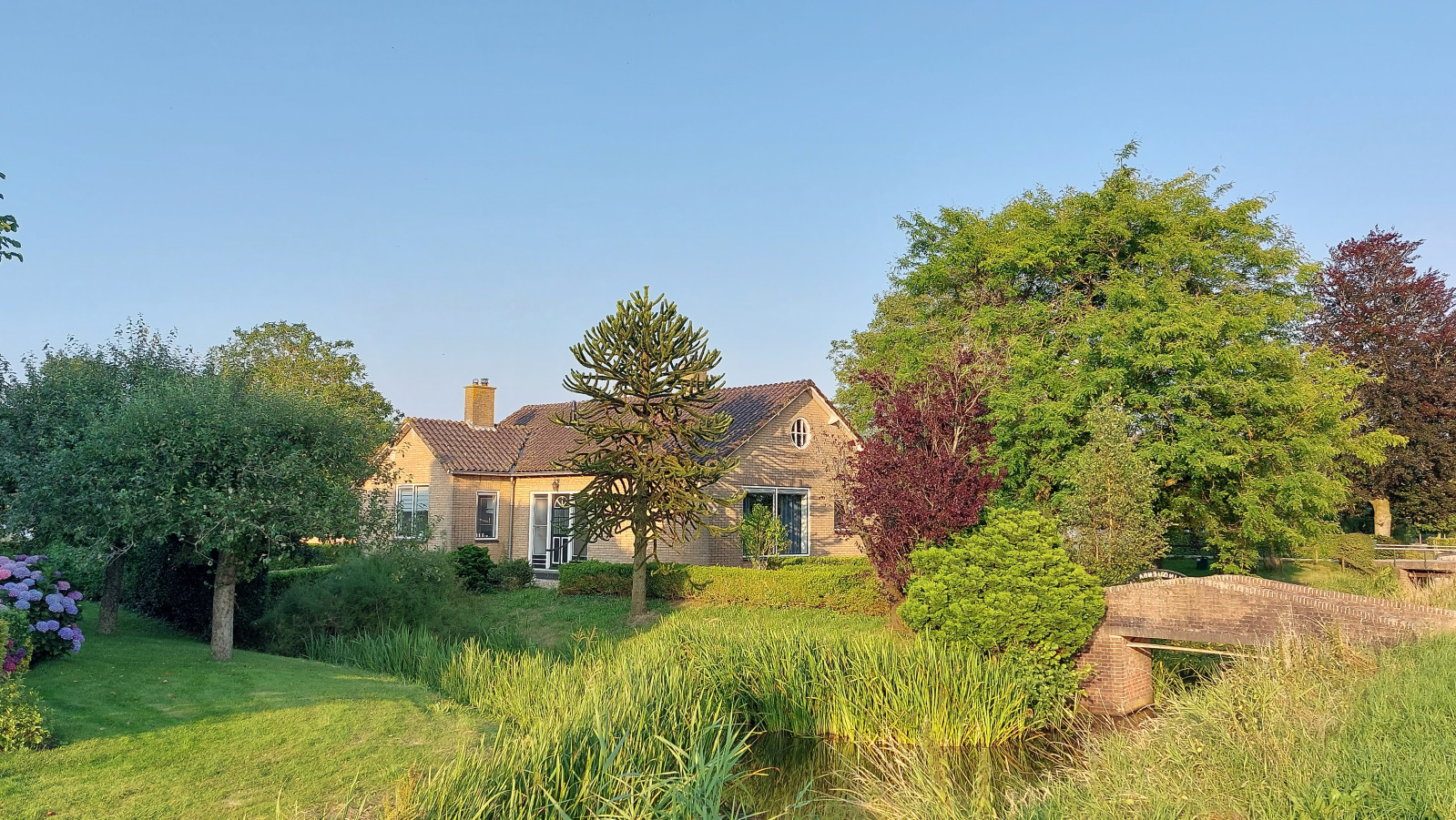 Vrijstaande 4 persoons bungalow in de prachtige natuur 