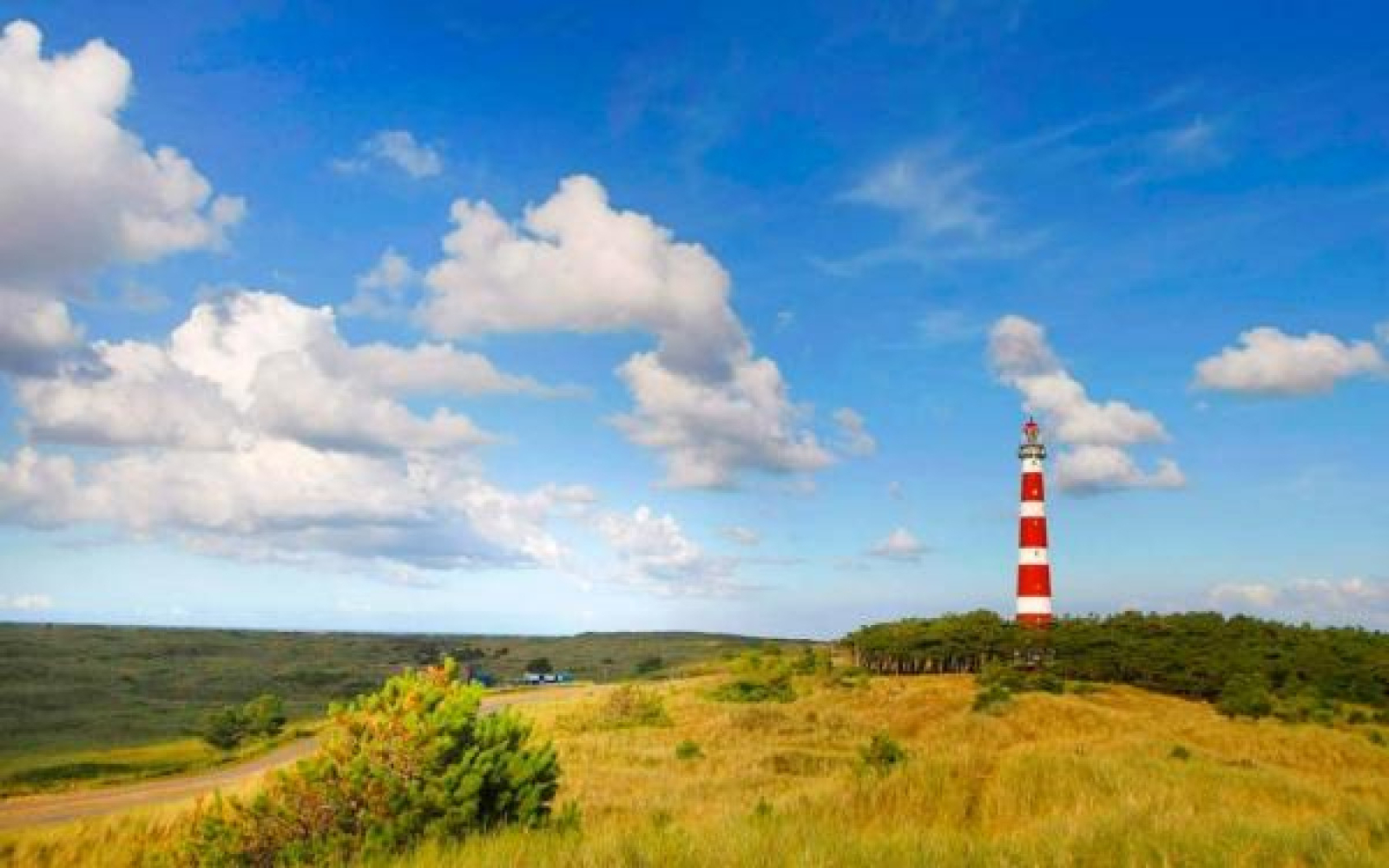 gelegen-in-het-dorp-buren-op-ameland-vindt-u-dit-mooi-gelegen-6p-vakantiehuis