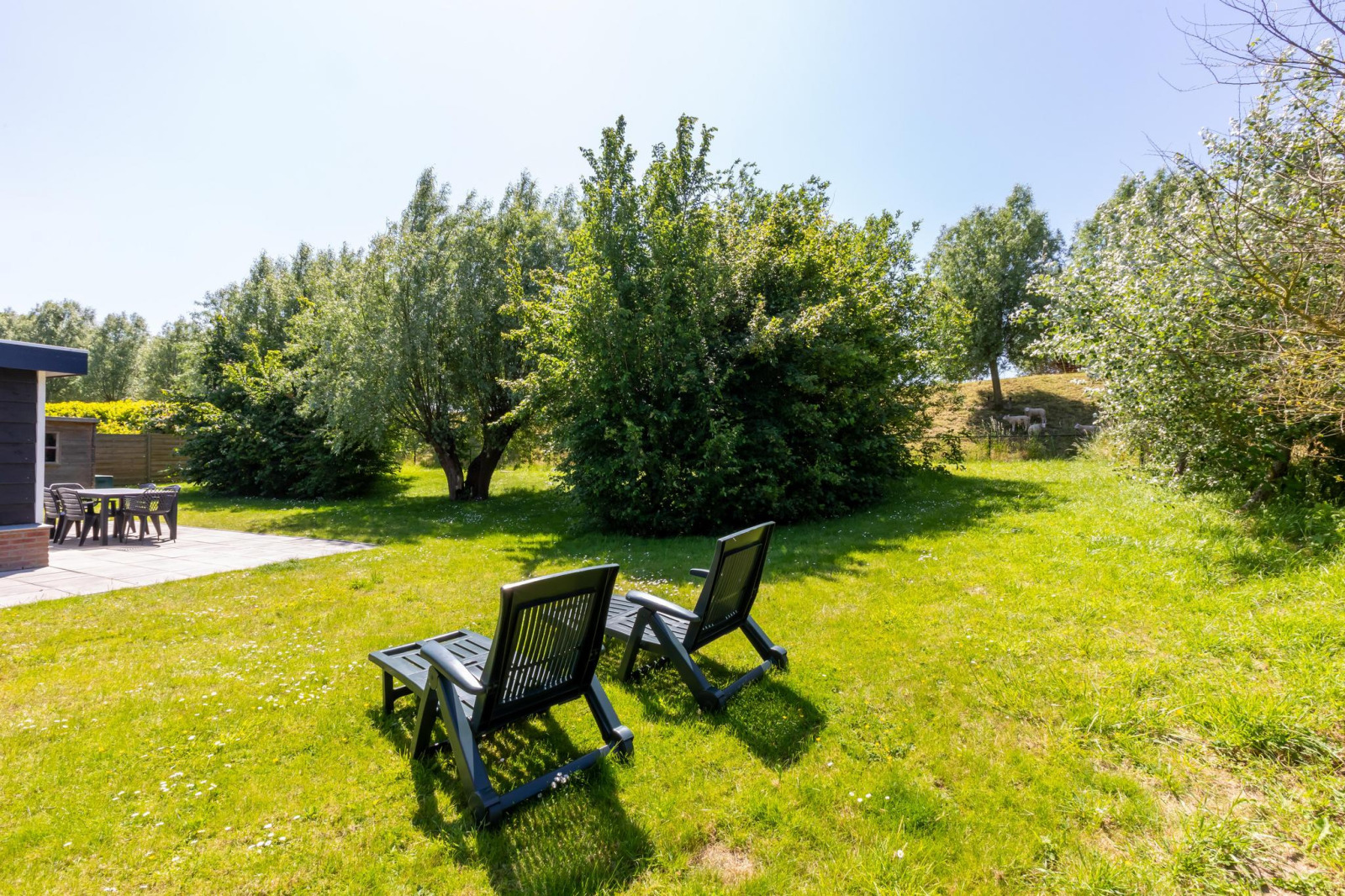 Chalet in Wolphaartsdijk voor 6 personen foto 7