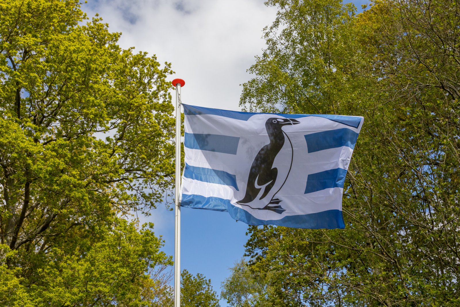 leuk-4-persoons-vakantiehuis-onderaan-de-duinen-in-vrouwenpolder