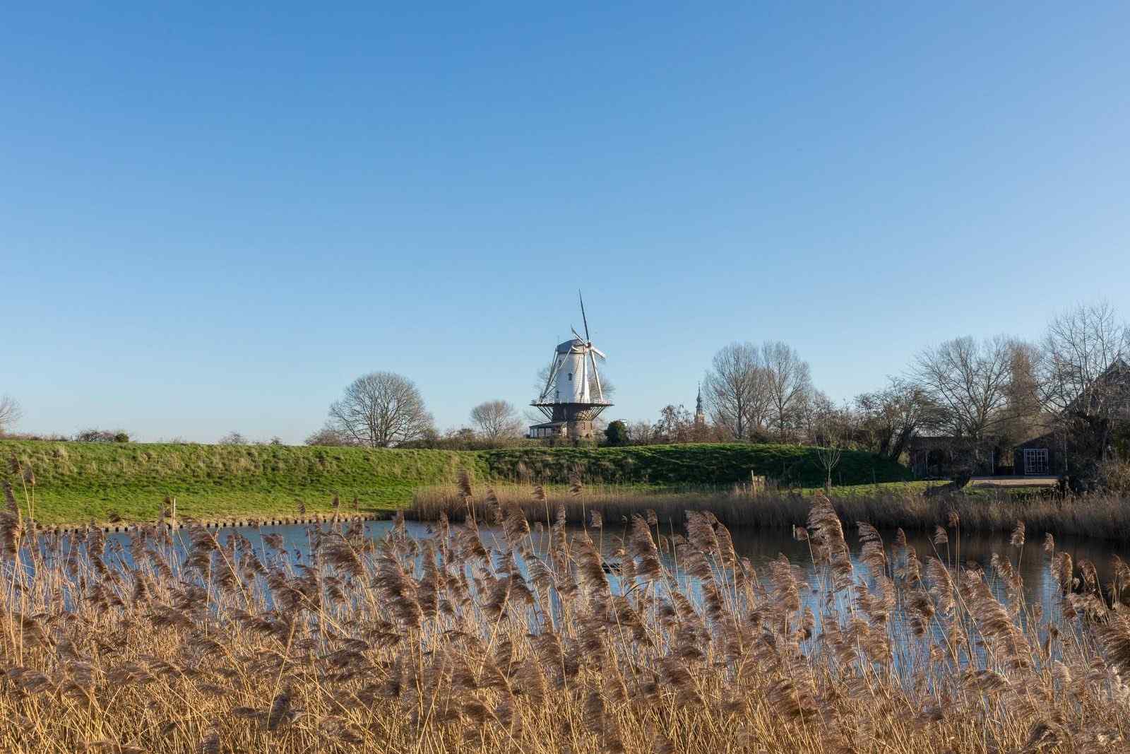 appartement-voor-4-personen-in-veere