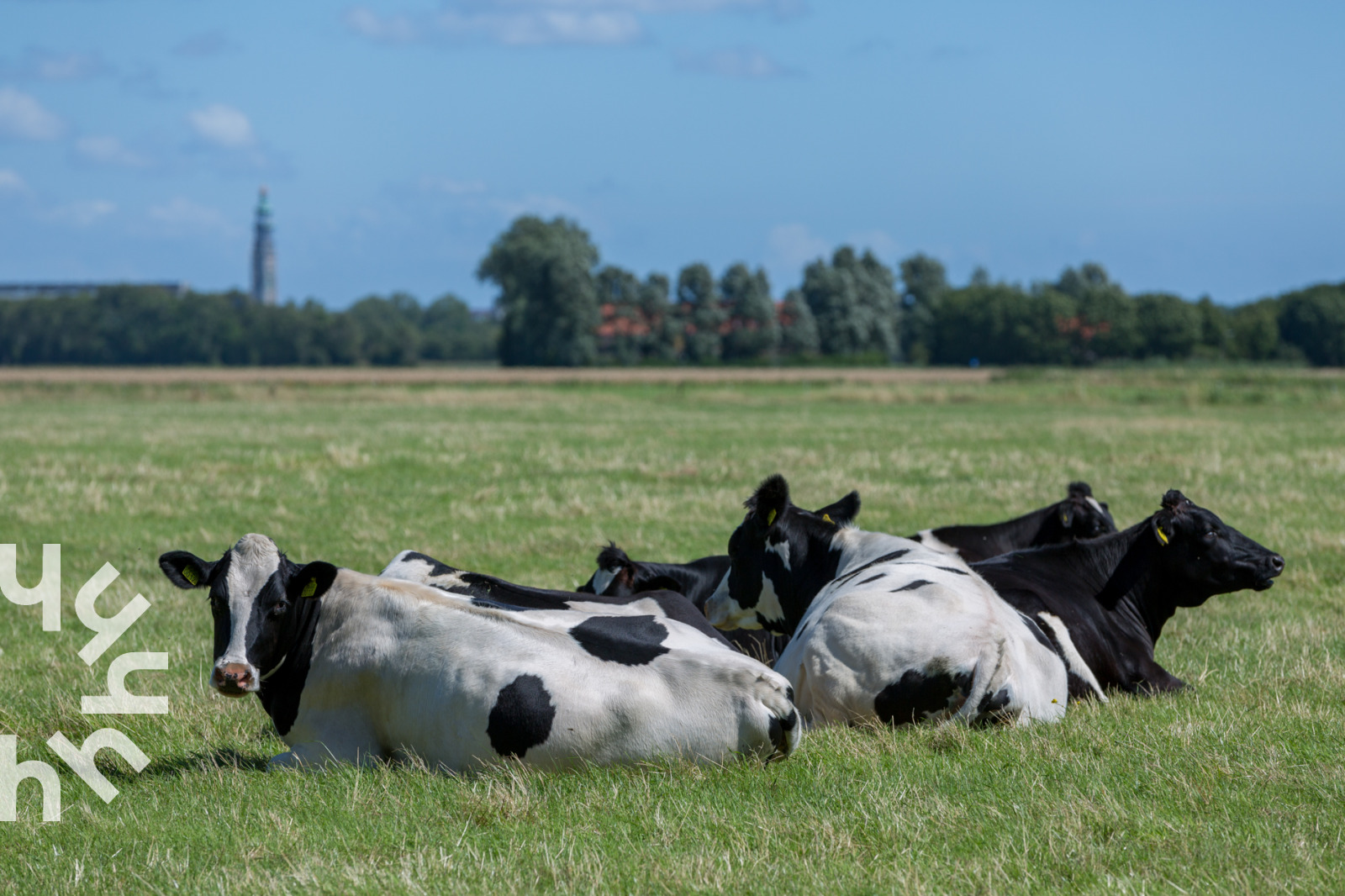 Recreatiewoning in Grijpskerke voor 7 personen foto 17
