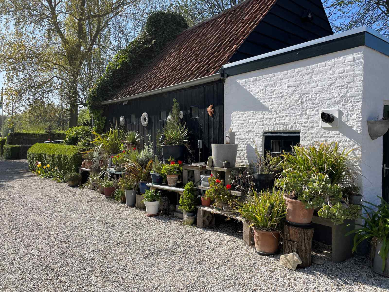 een-gezellig-5-persoons-wagenhuis-met-eigen-tuin-nabij-strand-in-dishoek