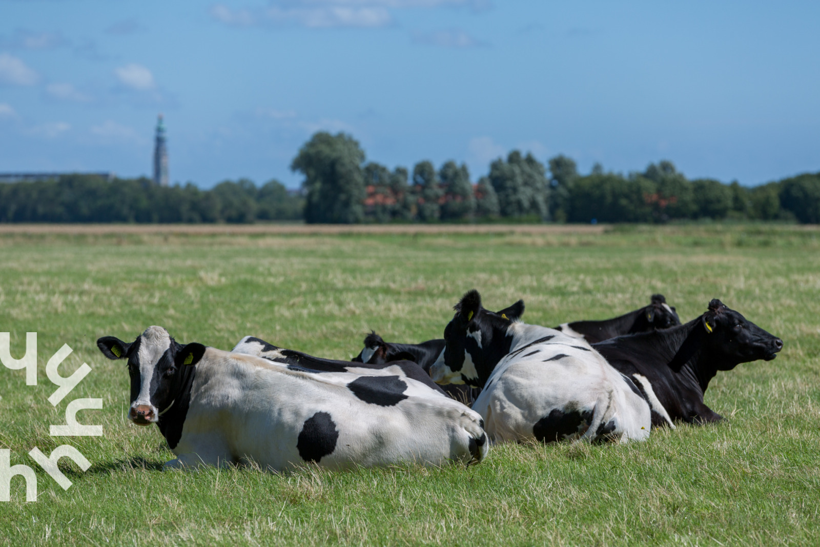 Recreatiewoning in Grijpskerke voor 9 personen foto 7