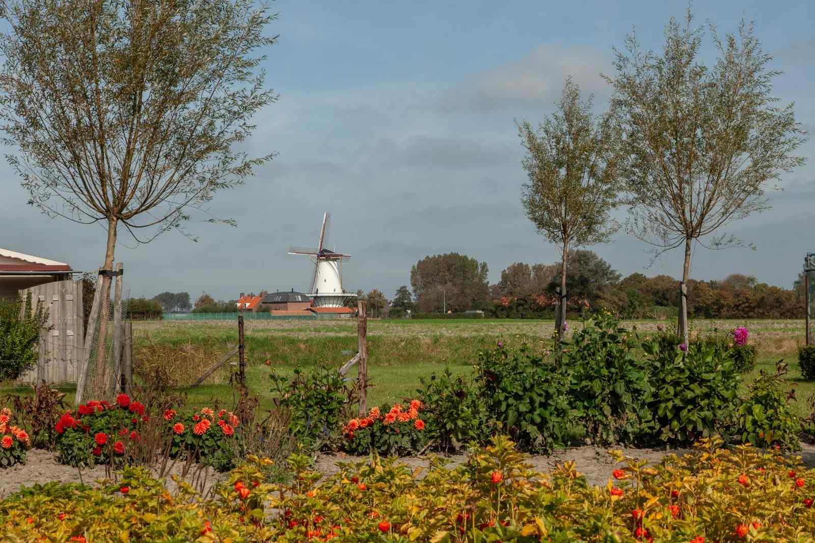 ZE1399