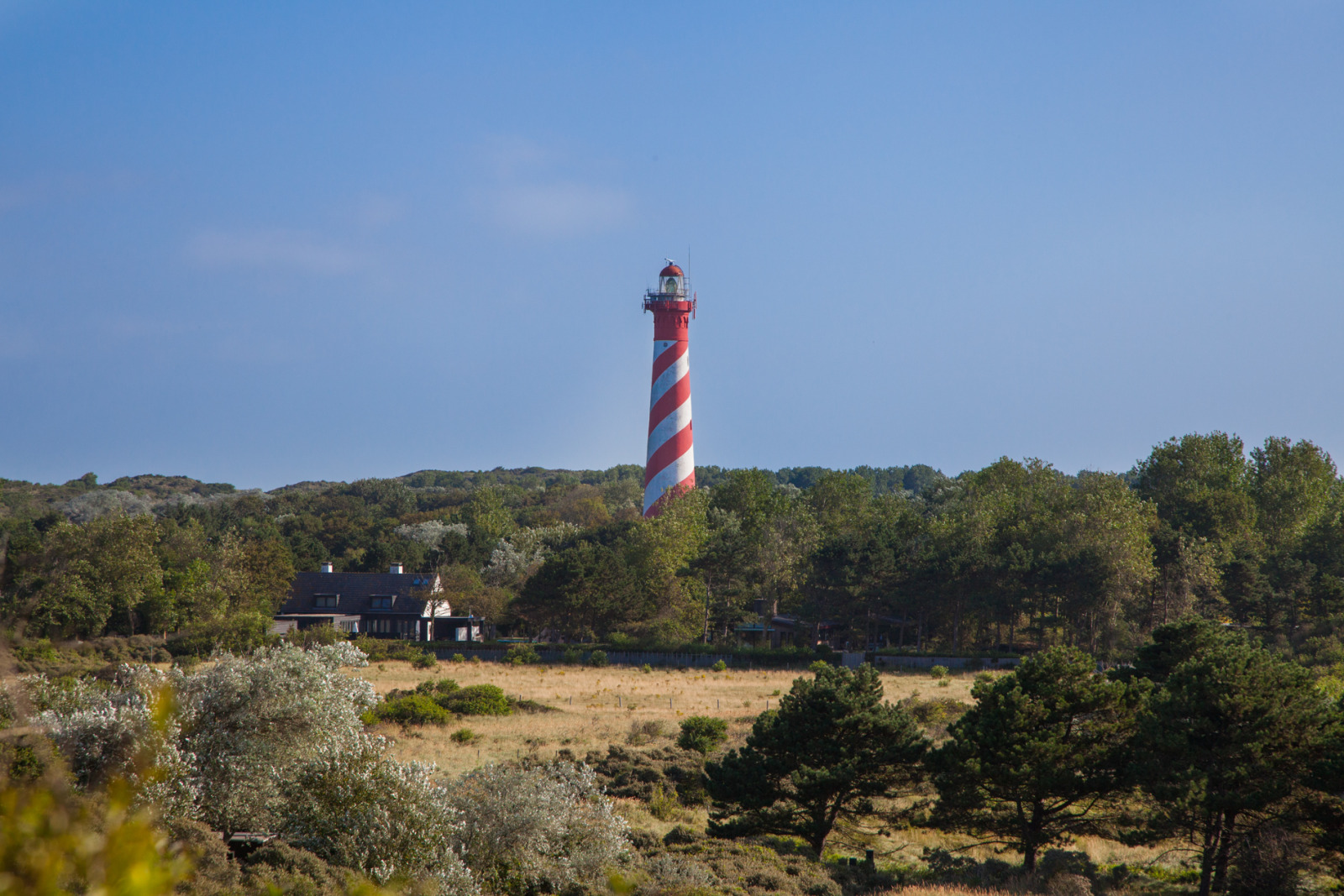 Landhuis in Zonnemaire voor 6 personen foto 12