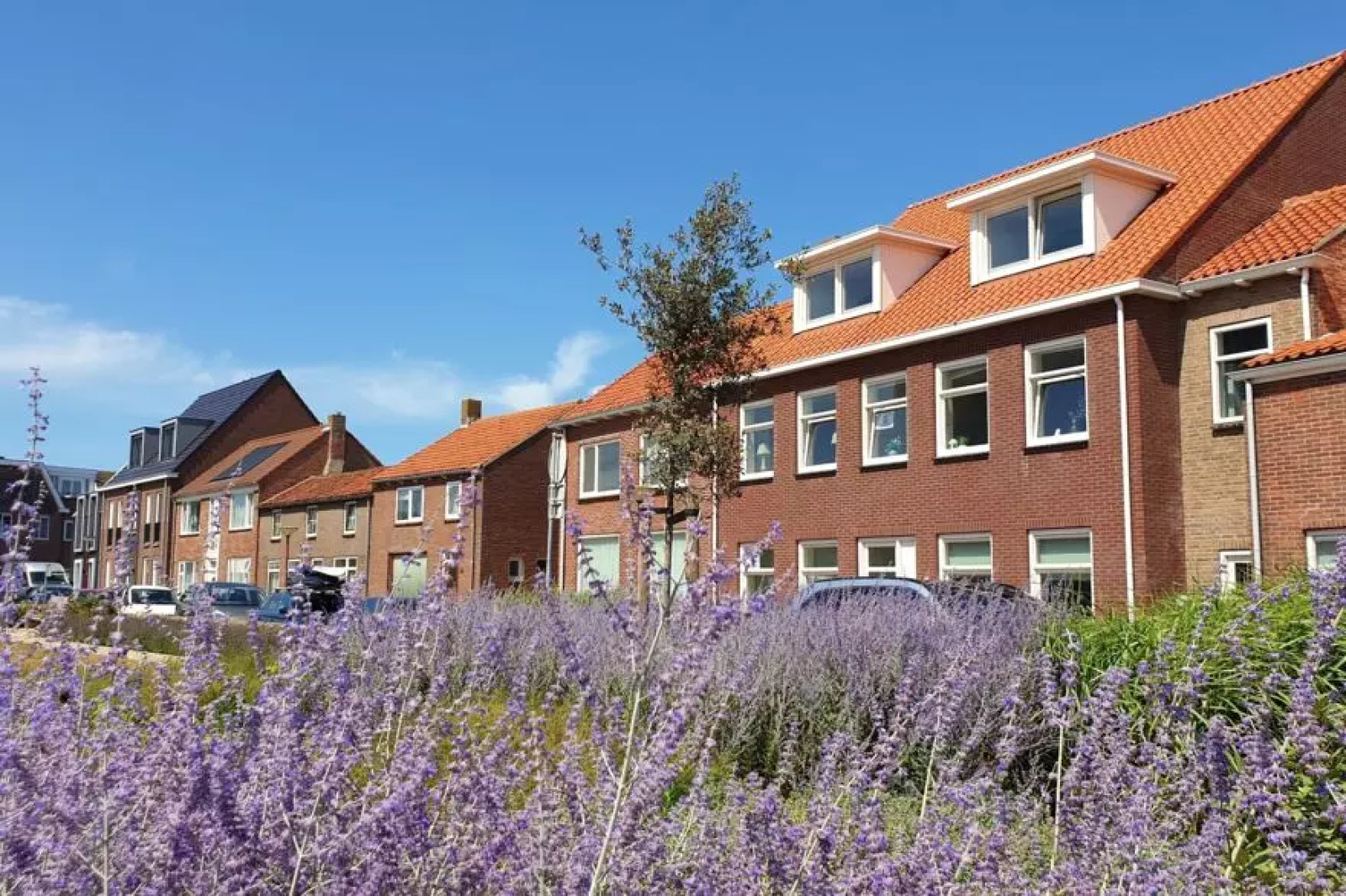 4-persoons appartement middenin centrum van Zoutelande, onderaan de duinen