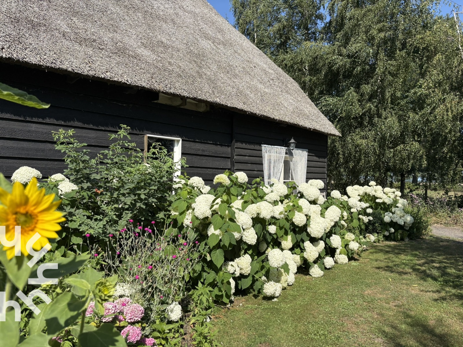 Vakantieboerderij in IJzendijke voor 6 personen foto 6