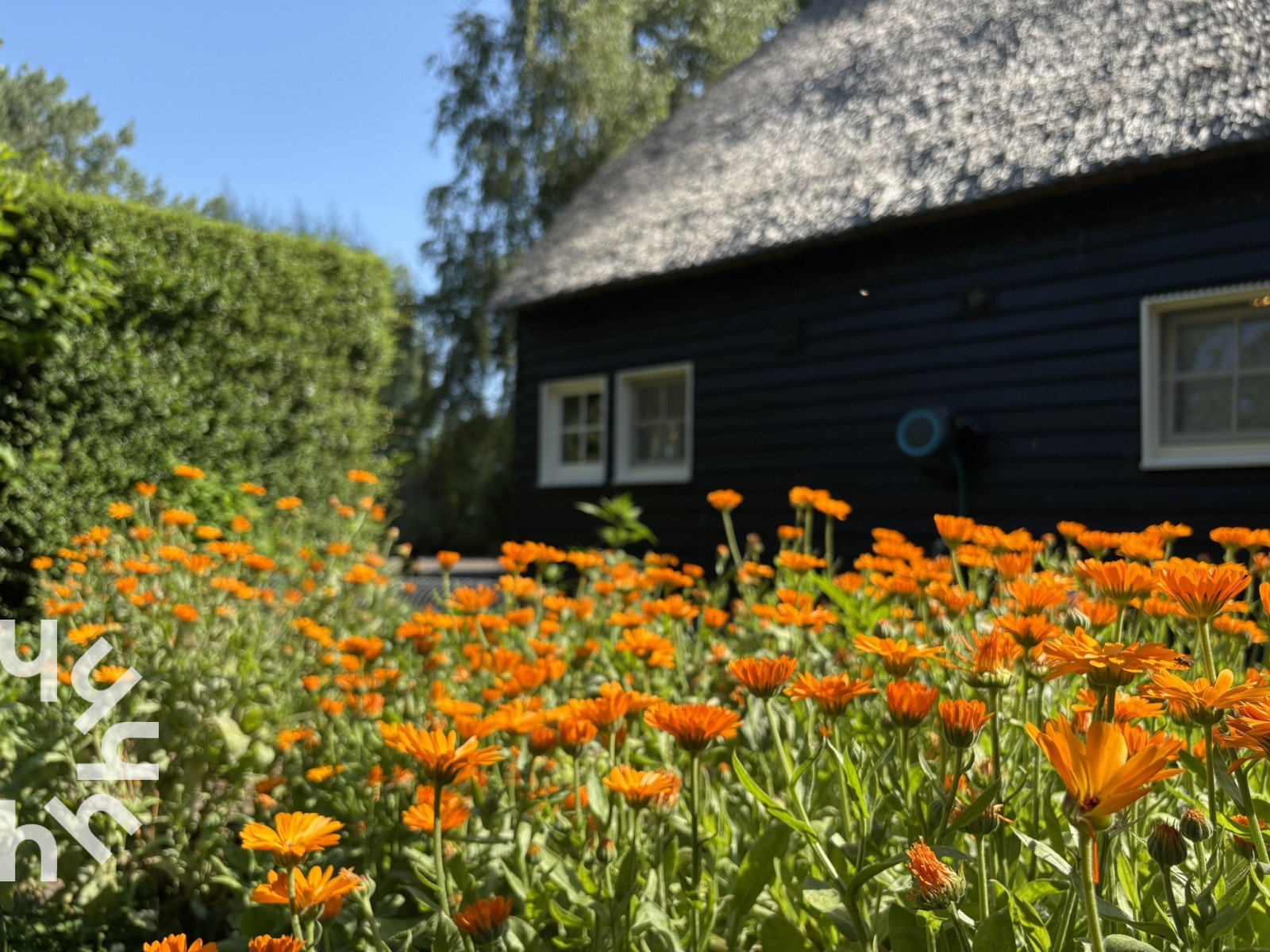 Vakantieboerderij in IJzendijke voor 6 personen foto 5