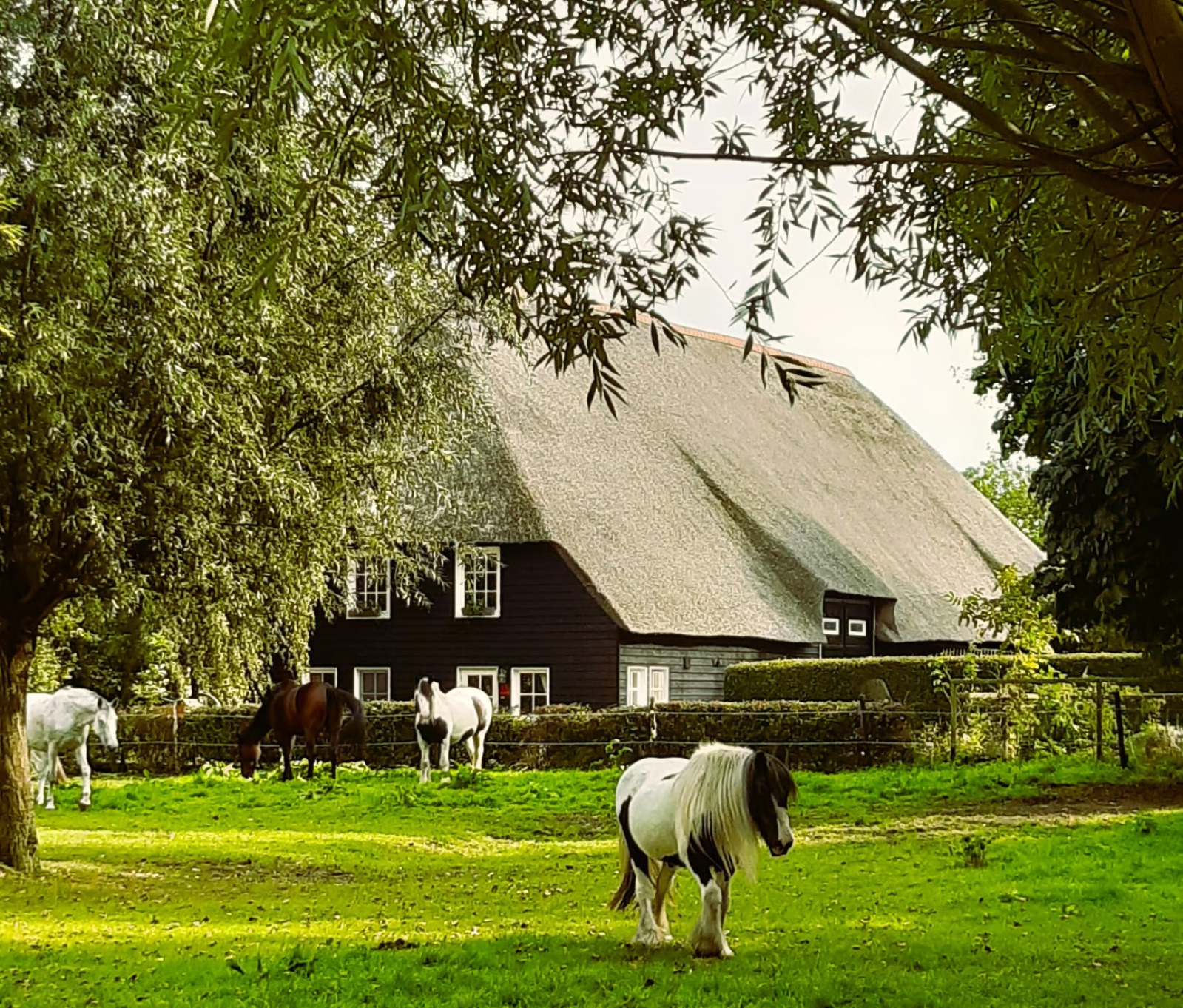 Authentieke 6 persoons vakantieboerderij op een prachti