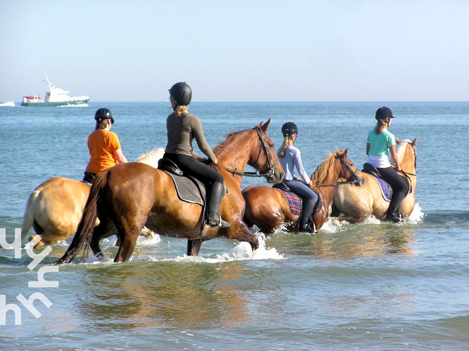 paardenliefhebbers-opgelet-6-persoons-woning-op-manege-vlakbij-strand-in-aagtekerke