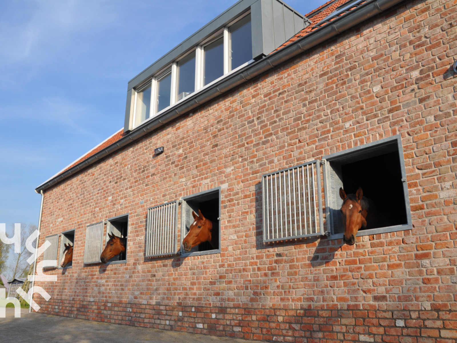 paardenliefhebbers-opgelet-6-persoons-woning-op-manege-vlakbij-strand-in-aagtekerke