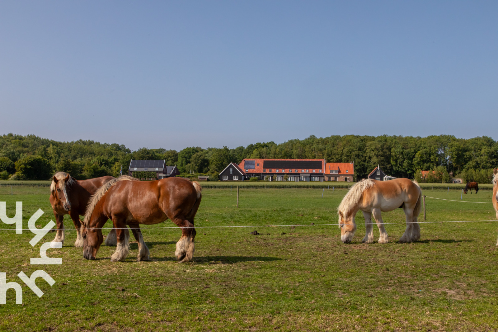 Recreatiewoning in Oostkapelle voor 6 personen foto 8