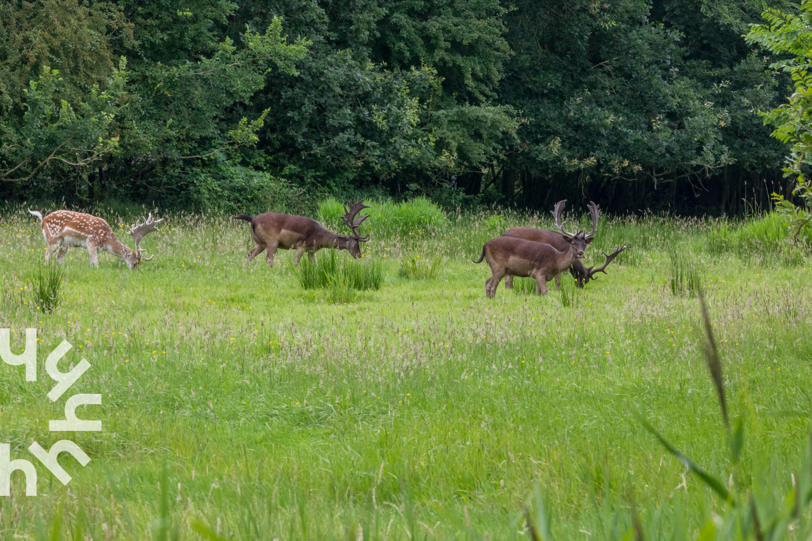 Vakantieboerderij in Oostkapelle voor 8 personen foto 19