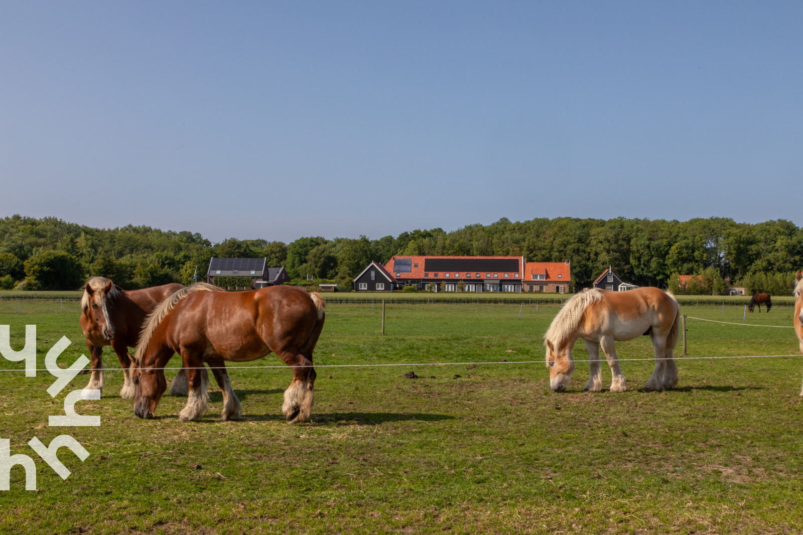 Vakantieboerderij in Oostkapelle voor 8 personen foto 11