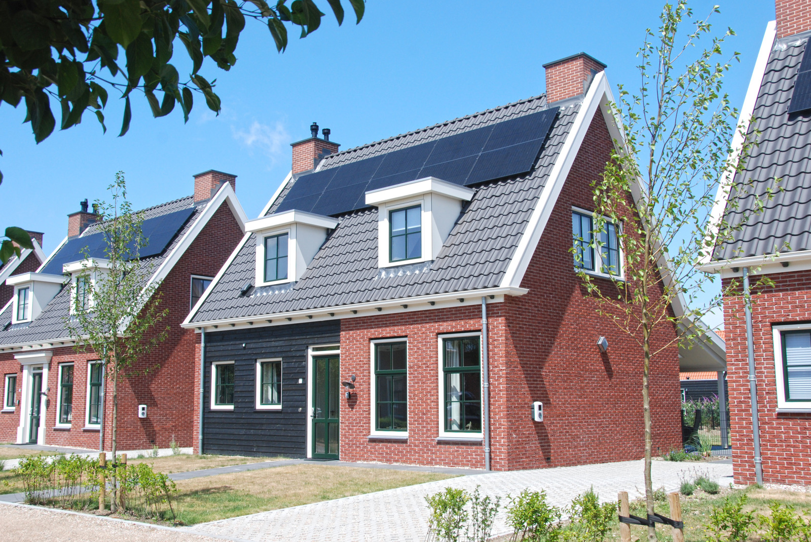 Villa in Colijnsplaat voor 8 personen foto 18