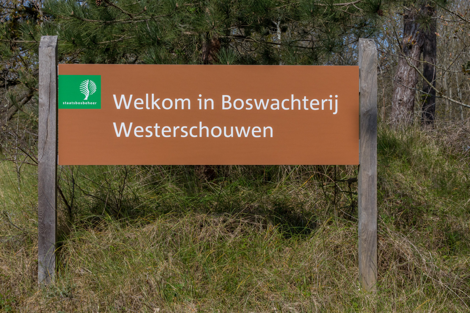 Recreatiewoning in Renesse voor 6 personen foto 6
