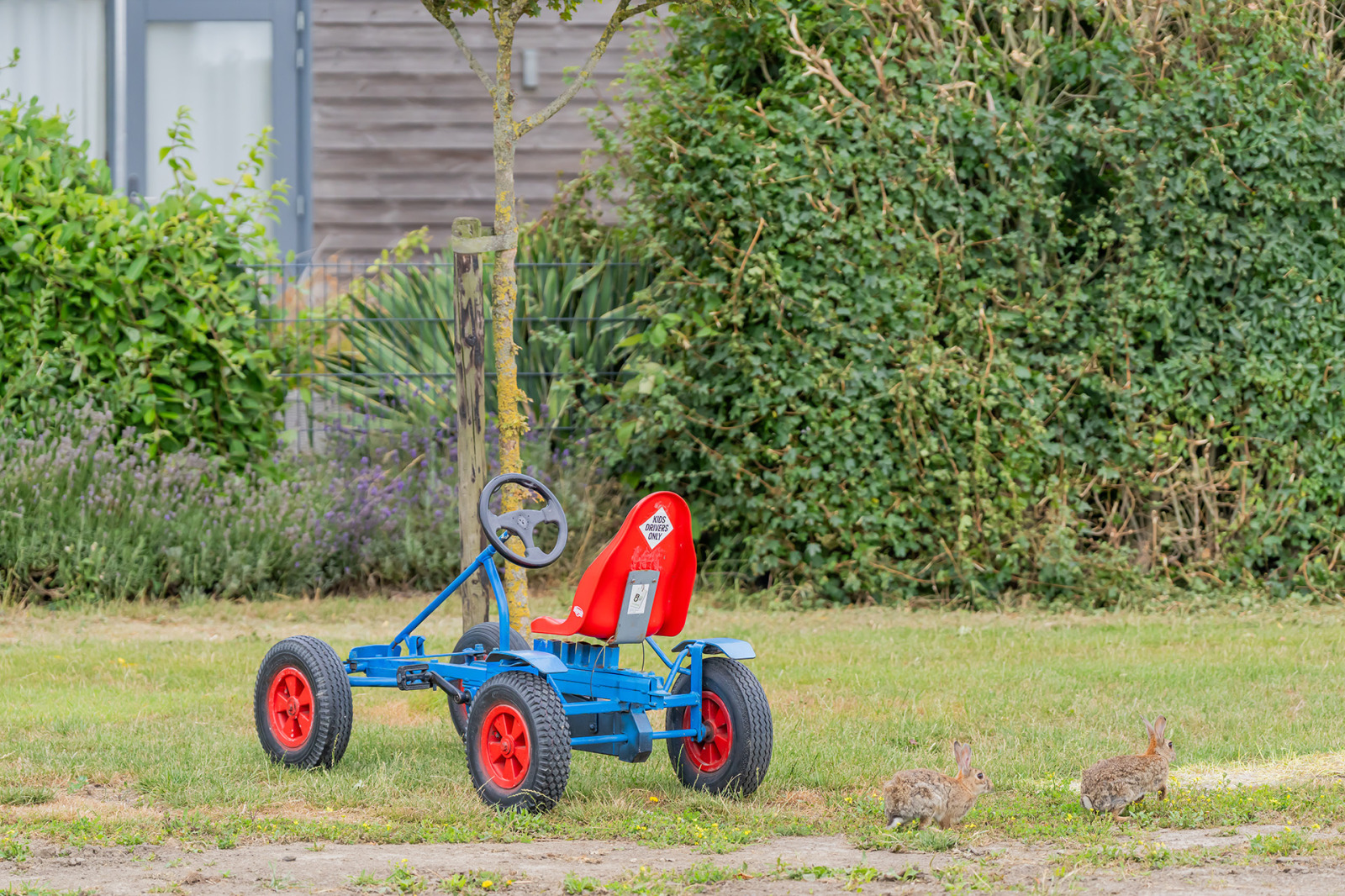 Recreatiewoning in Ellemeet voor 24 personen foto 20