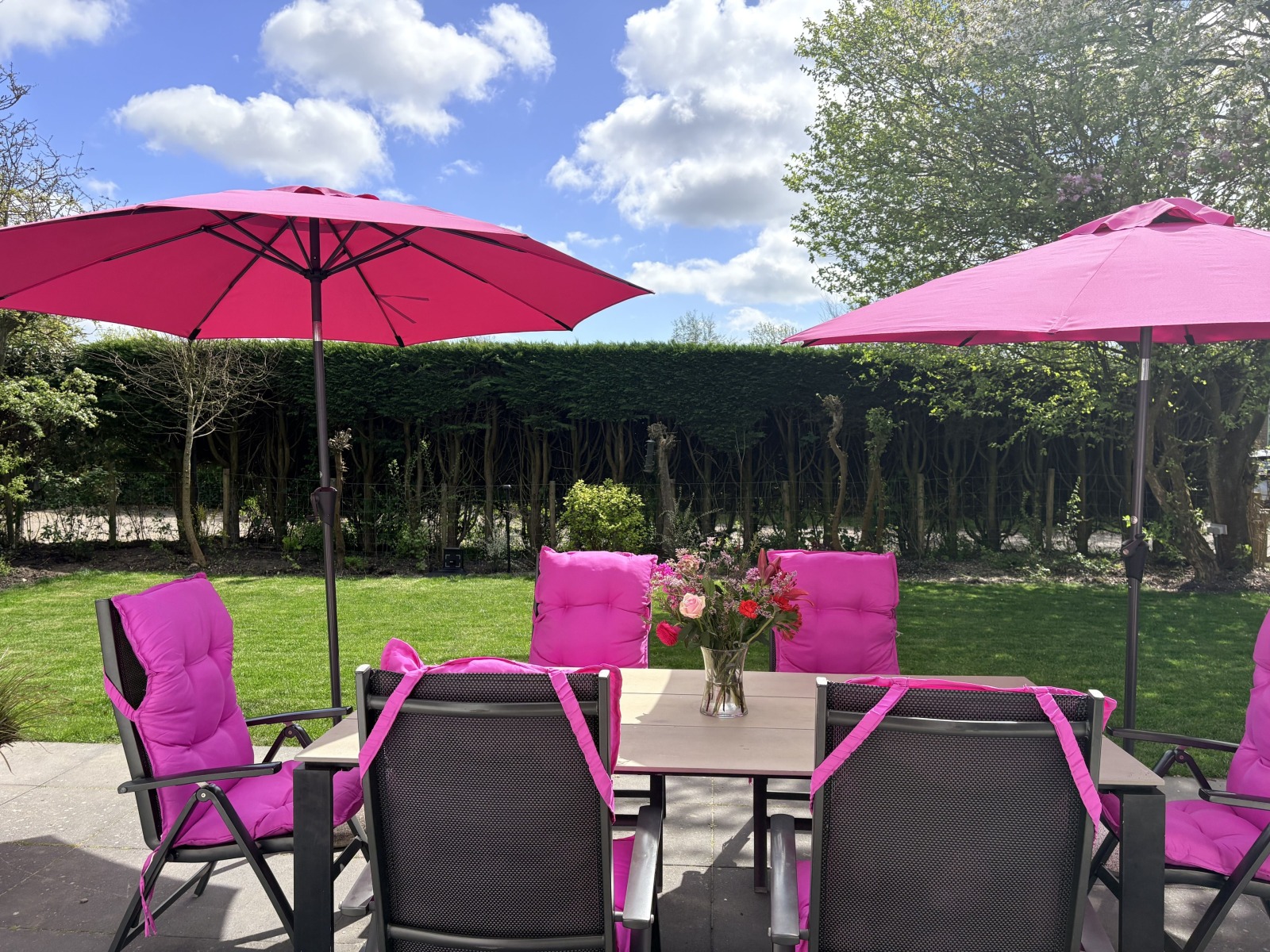 Bungalow in Zoutelande voor 6 personen foto 12