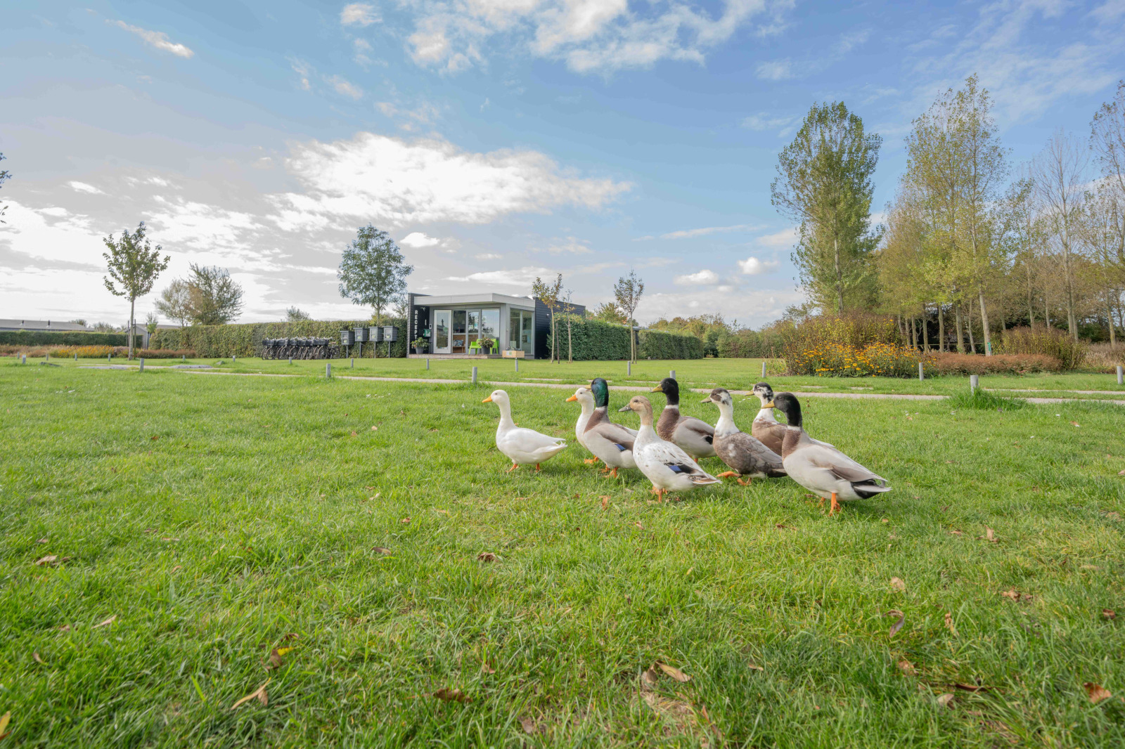 Recreatiewoning in Ellemeet voor 30 personen foto 18