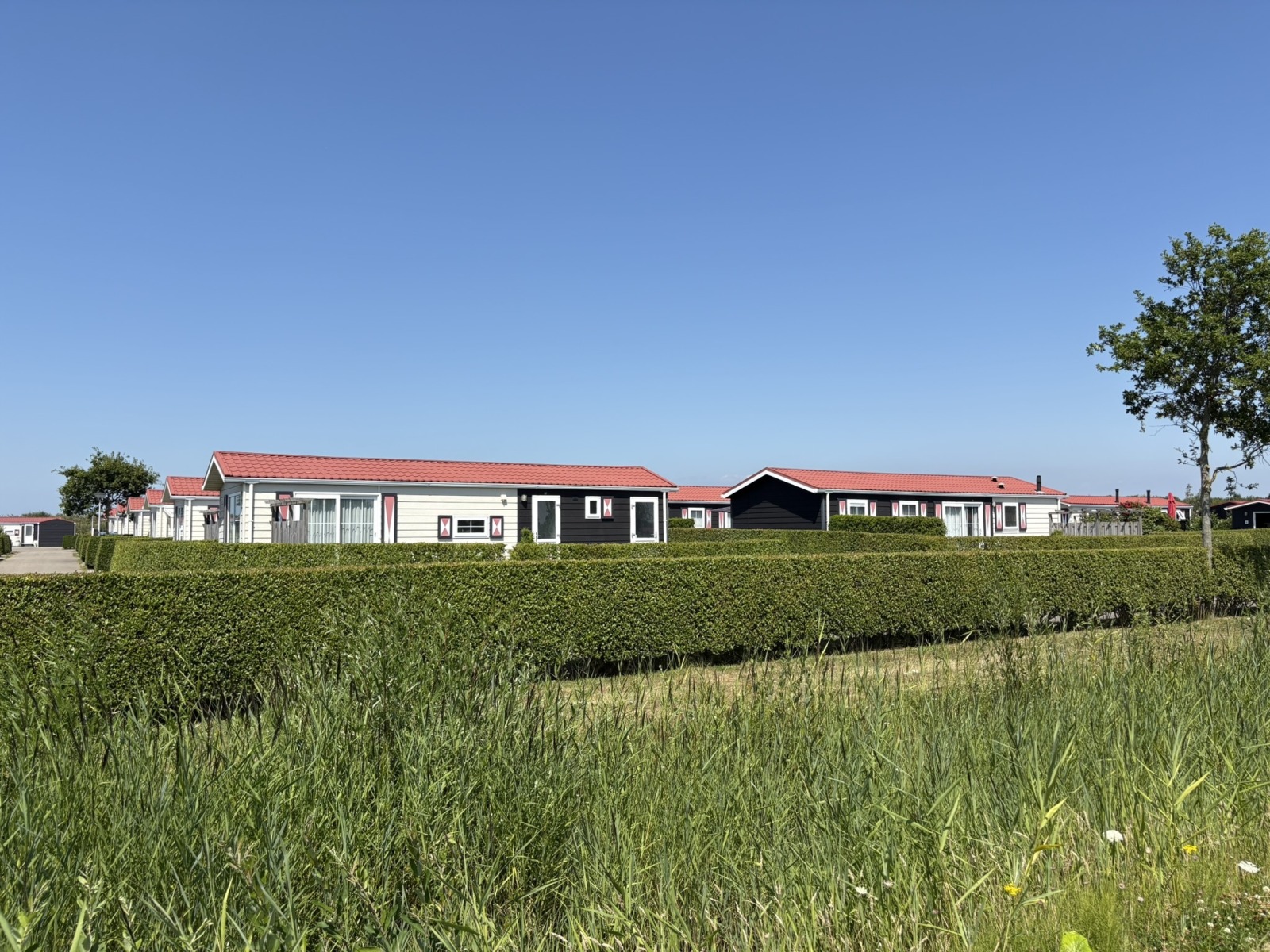 Chalet in Serooskerke voor 6 personen foto 3