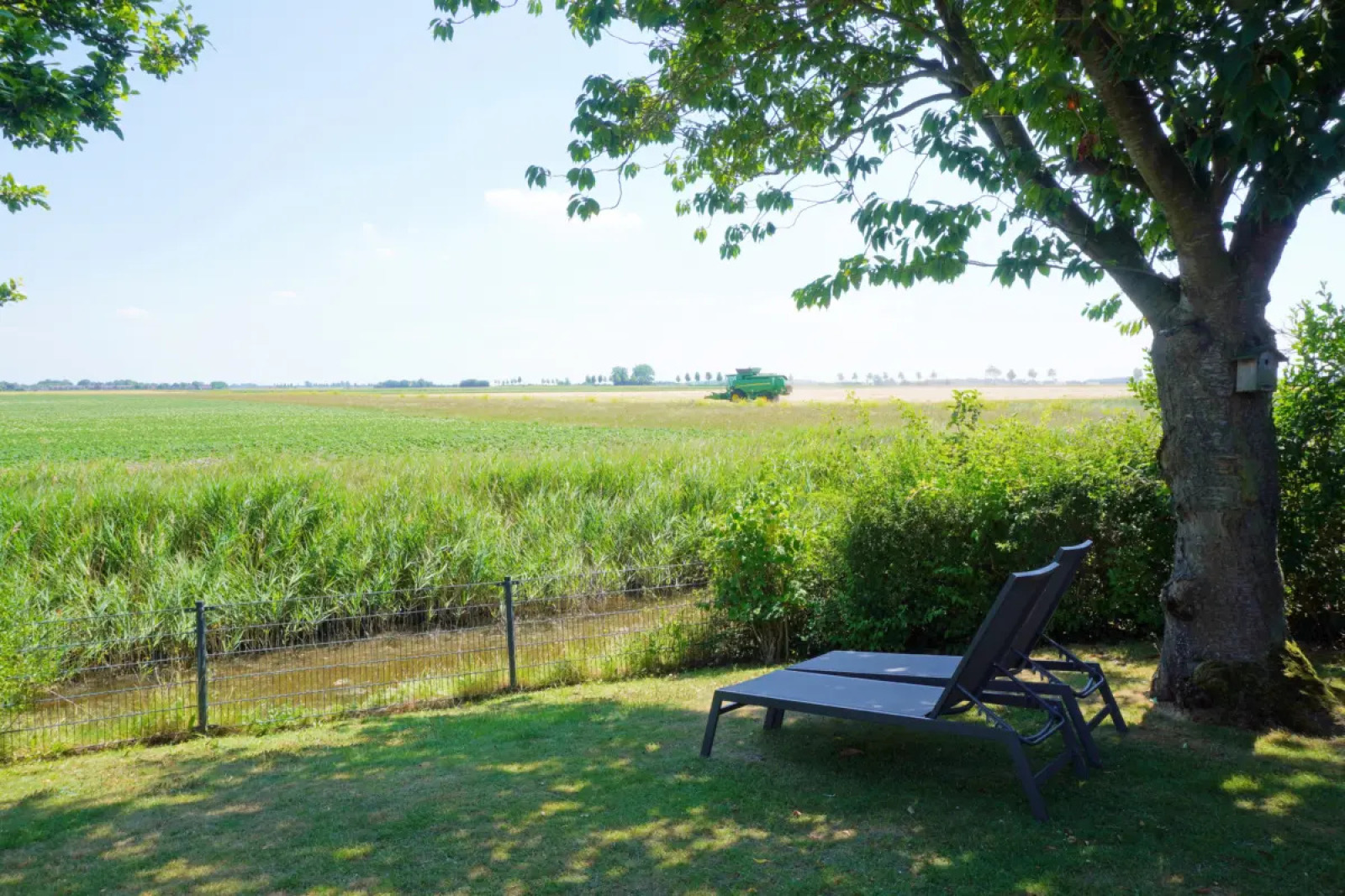 Bungalow in Brouwershaven voor 8 personen foto 11