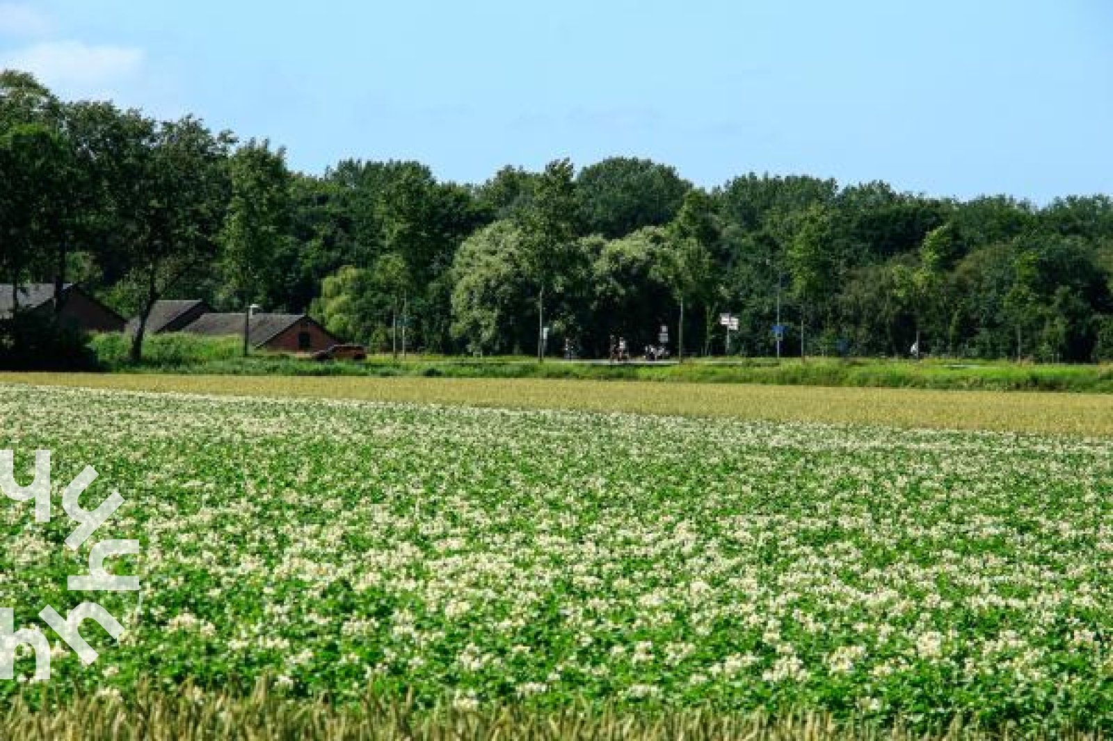 ZE587