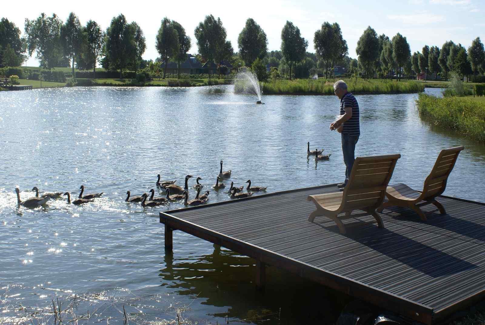 luxe-6-persoons-vakantiehuis-met-sauna-in-zeeuws-vlaanderen