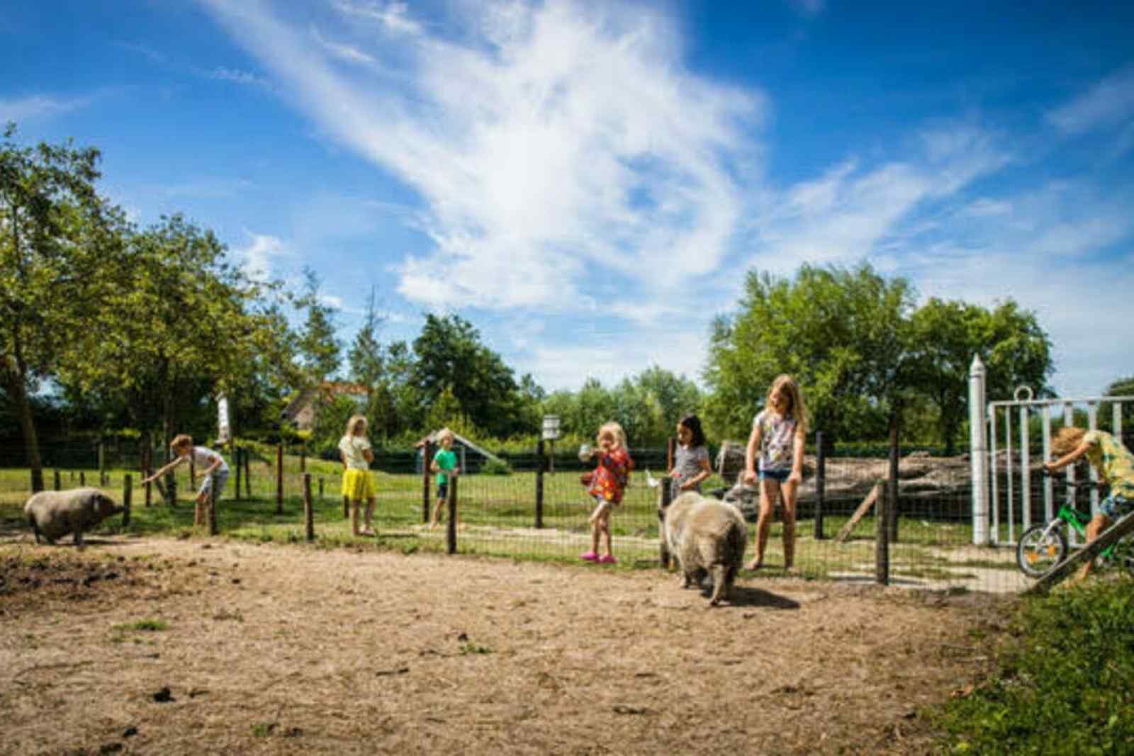 sfeervol-4-persoons-vakantiehuis-in-vrouwenpolder-900m-van-het-strand