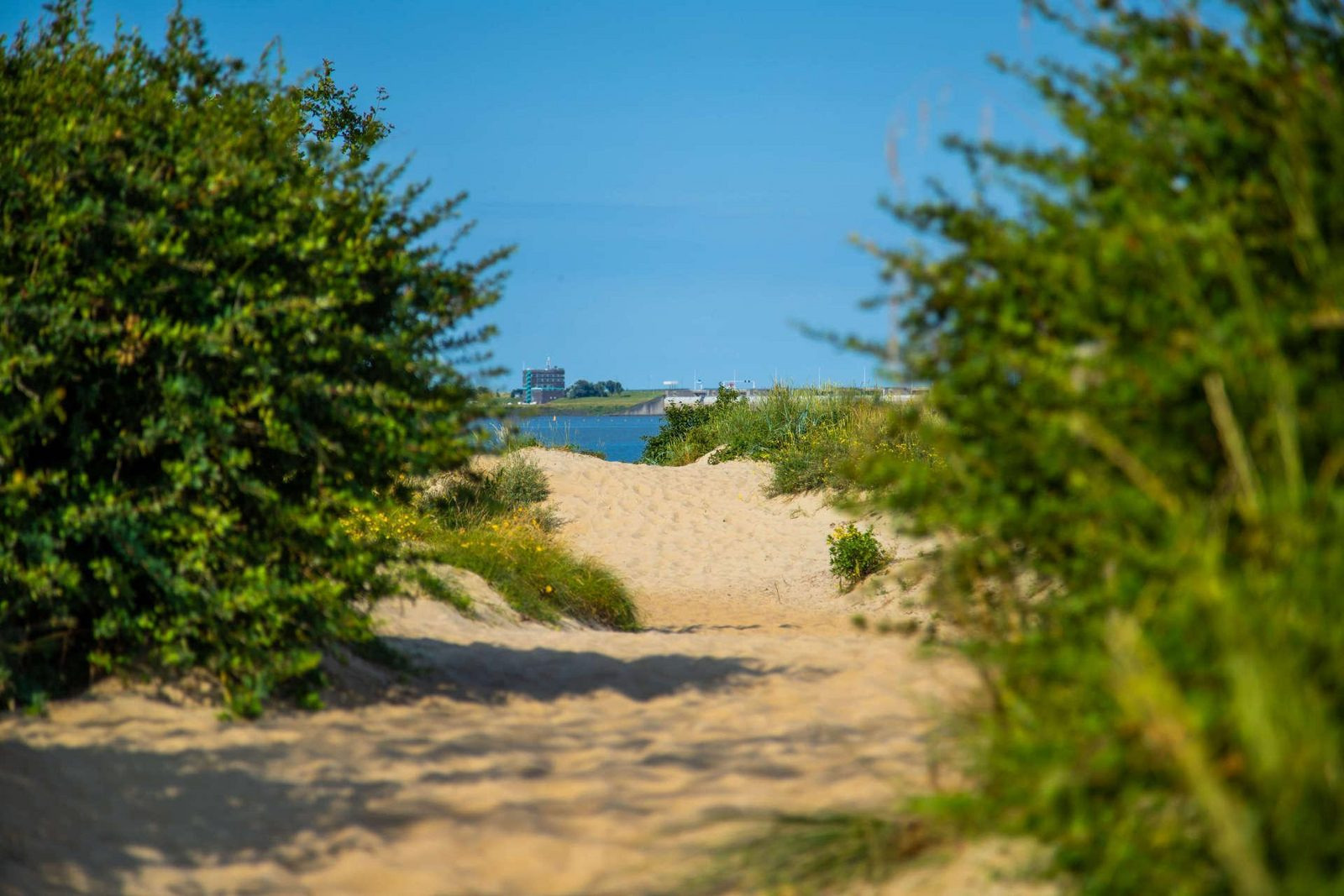 5-persoons-chalet-dicht-bij-het-strand