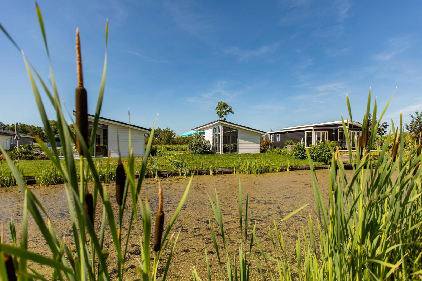 Chalet in Nieuwerkerk aan den IJssel voor 6 personen foto 14