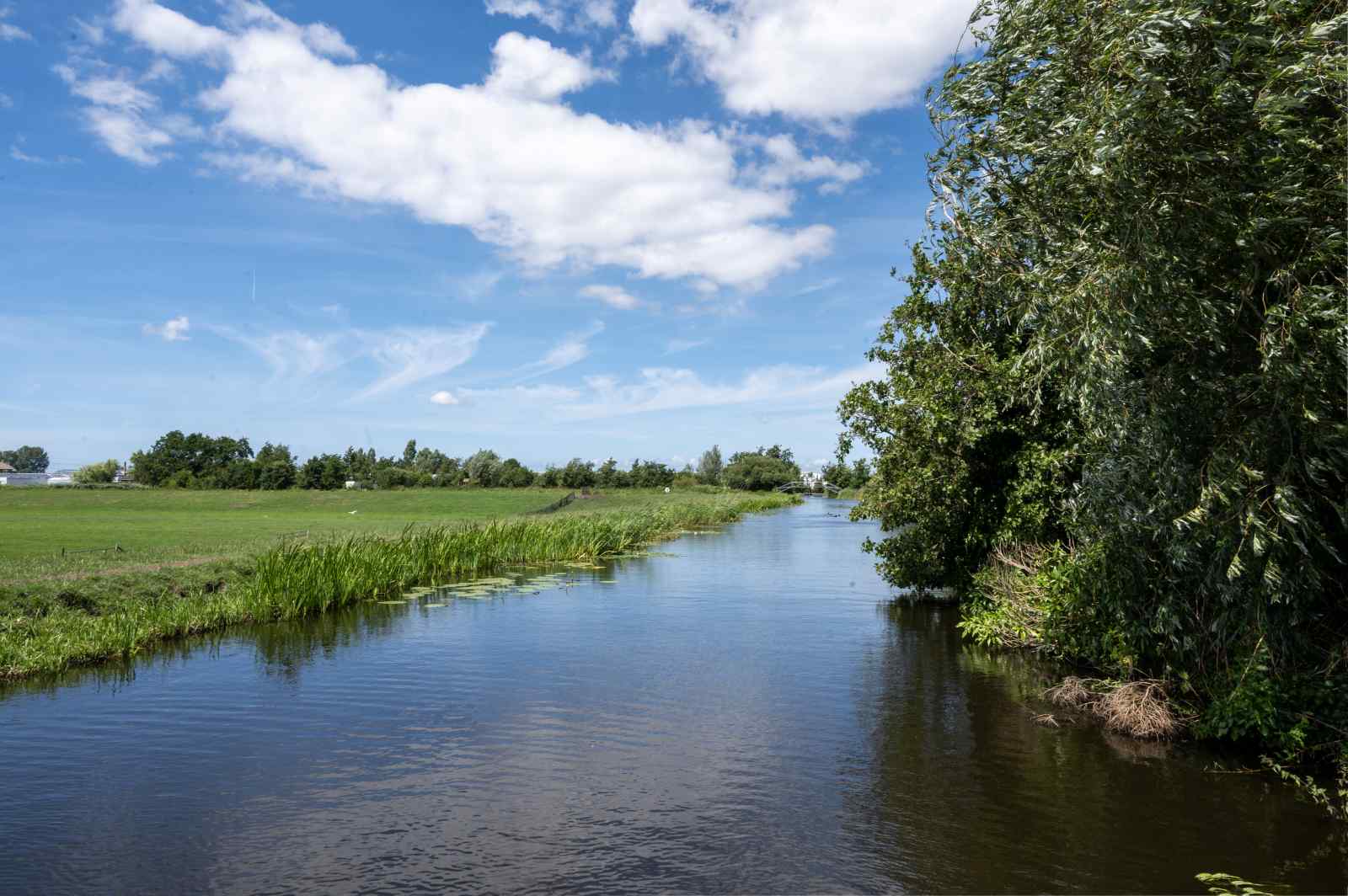 geschakeld-5-persoons-vakantiehuis-aan-het-water-in-roelofarendsveen