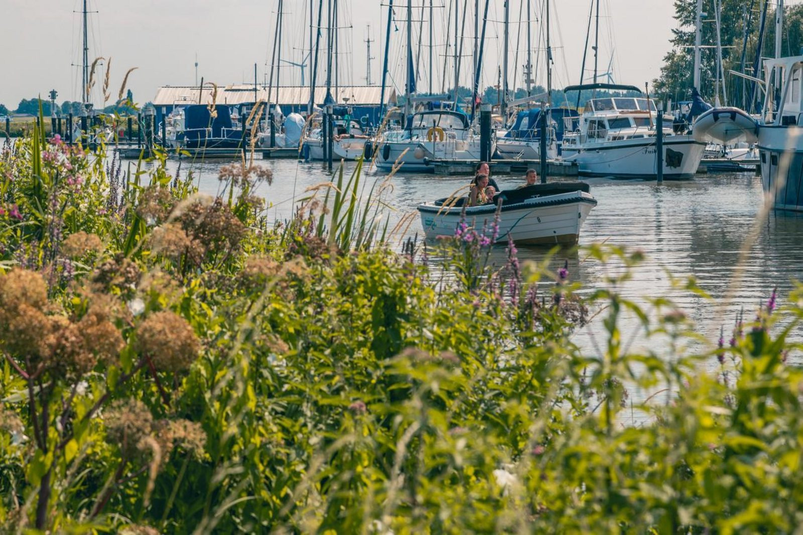 sfeervolle-4-persoons-tiny-house-met-airco-op-vakantiepark-de-biesbosch-bij-dordrecht