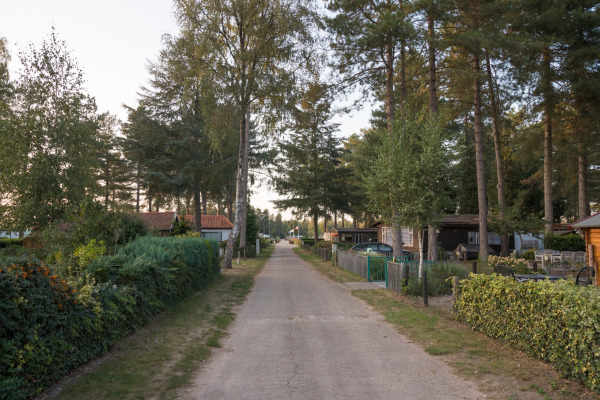 Arden Parks Tulderheyde