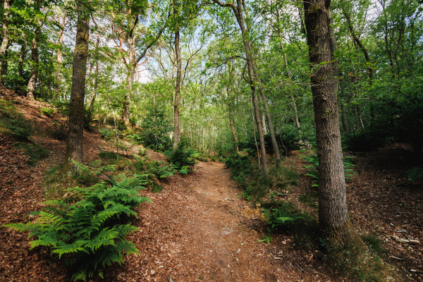 Bungalowpark 't Eekhoornnest