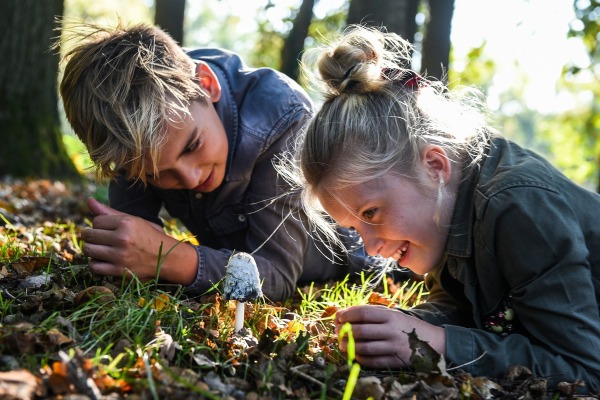 Bungalowpark 't Eekhoornnest