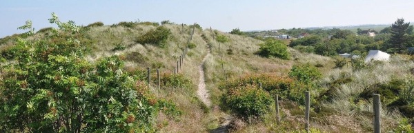 Duincamping De Lepelaar