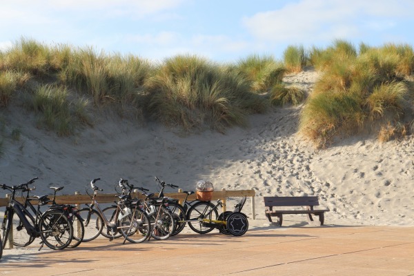 Vakantiepark Blankenberger Duinen