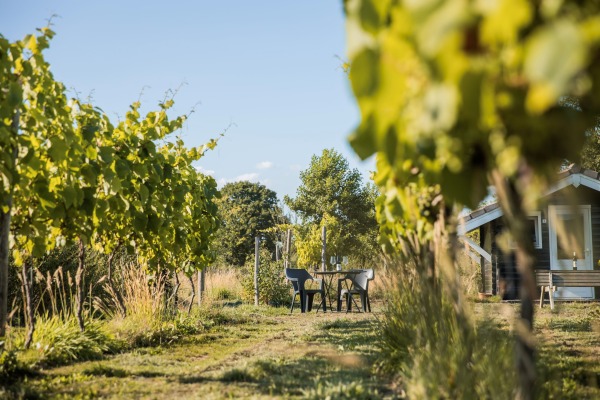 Vakantiepark De kleine Westrik