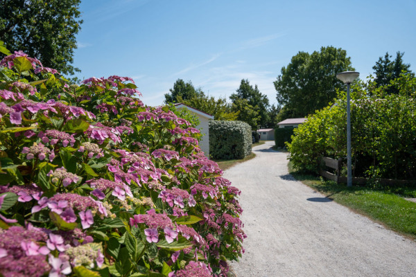 Vakantiepark de Riesen Terschelling