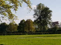 dg614