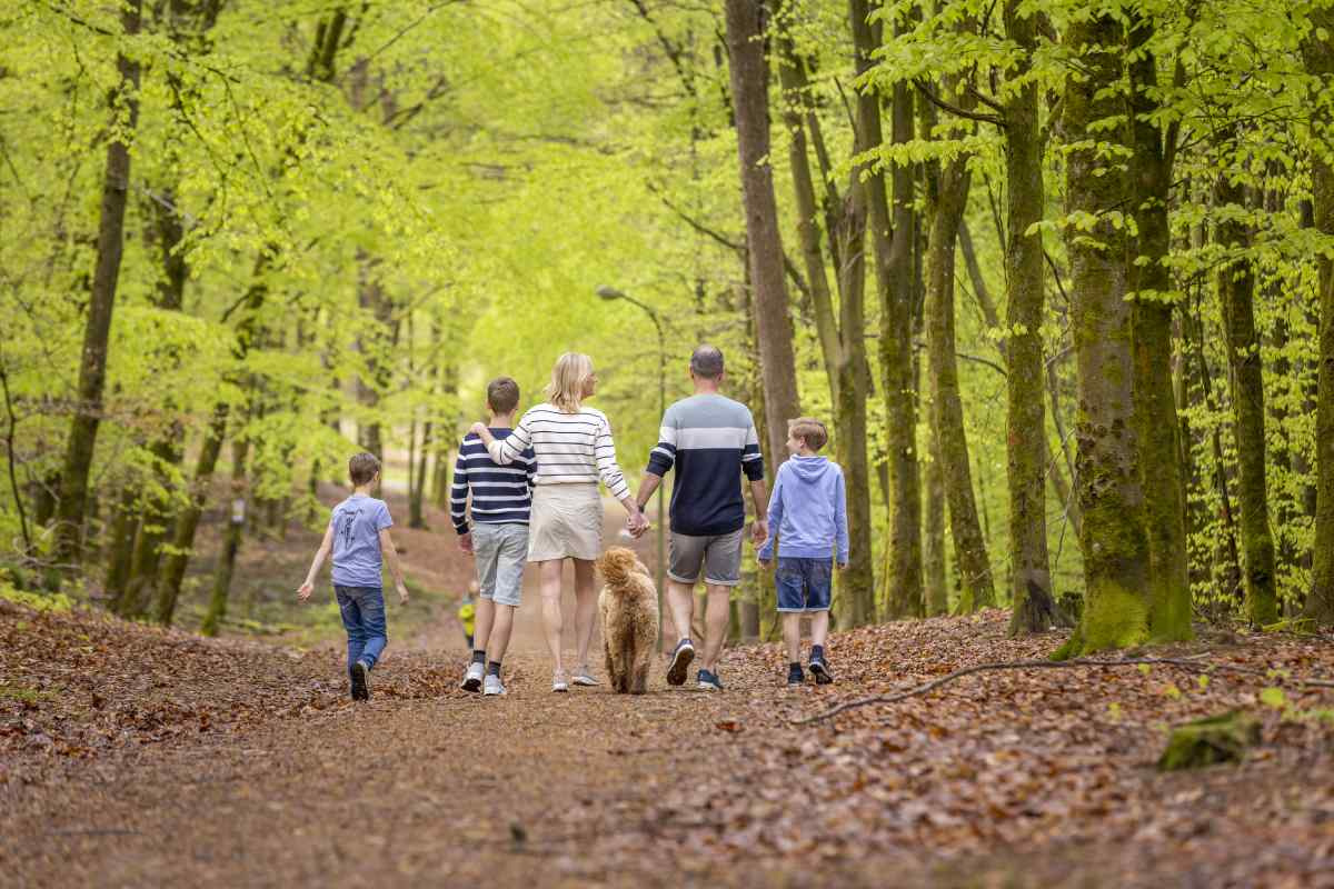 Chalet in Bertrix voor 6 personen foto 10
