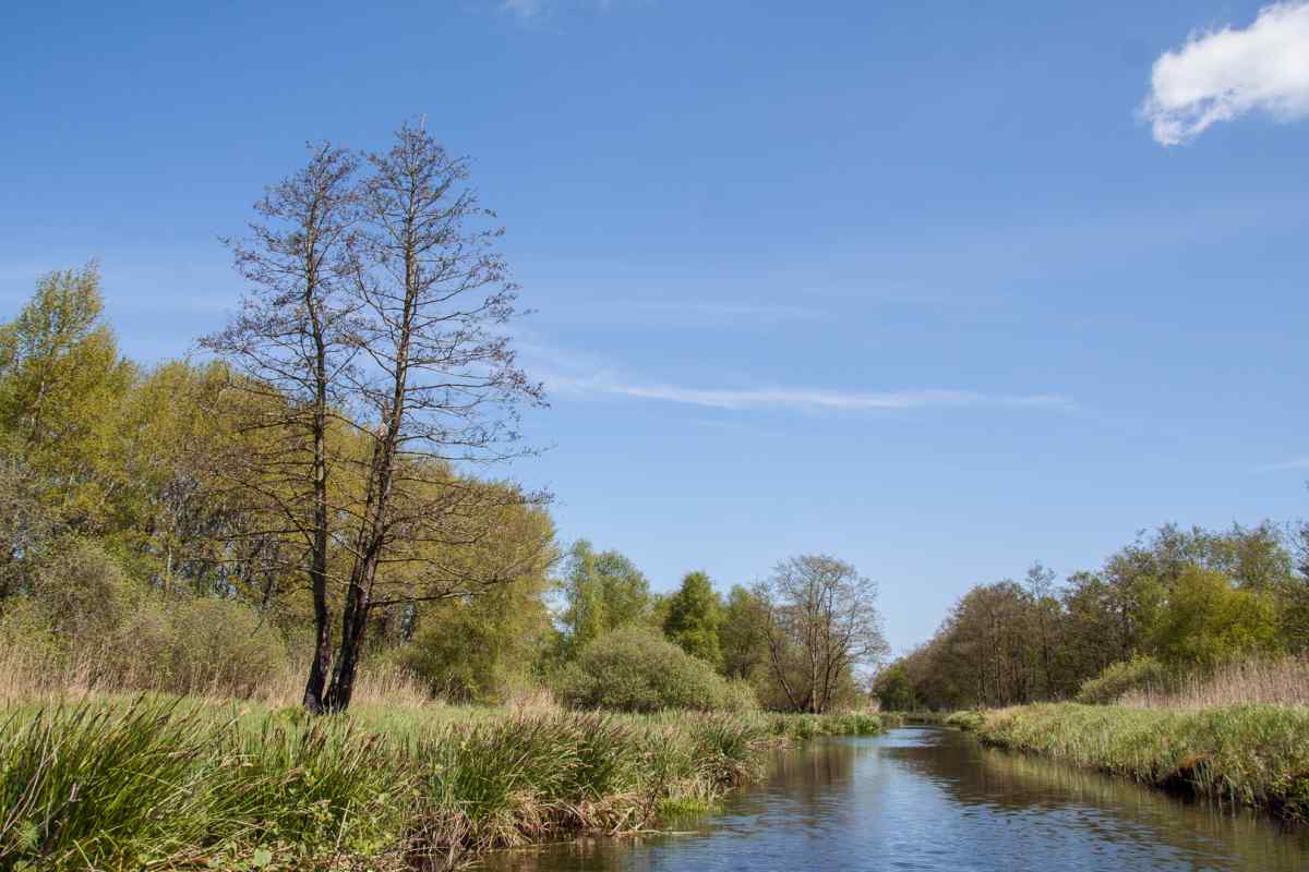 Recreatiewoning in Scherpenzeel (Fr.) voor 36 personen foto 6