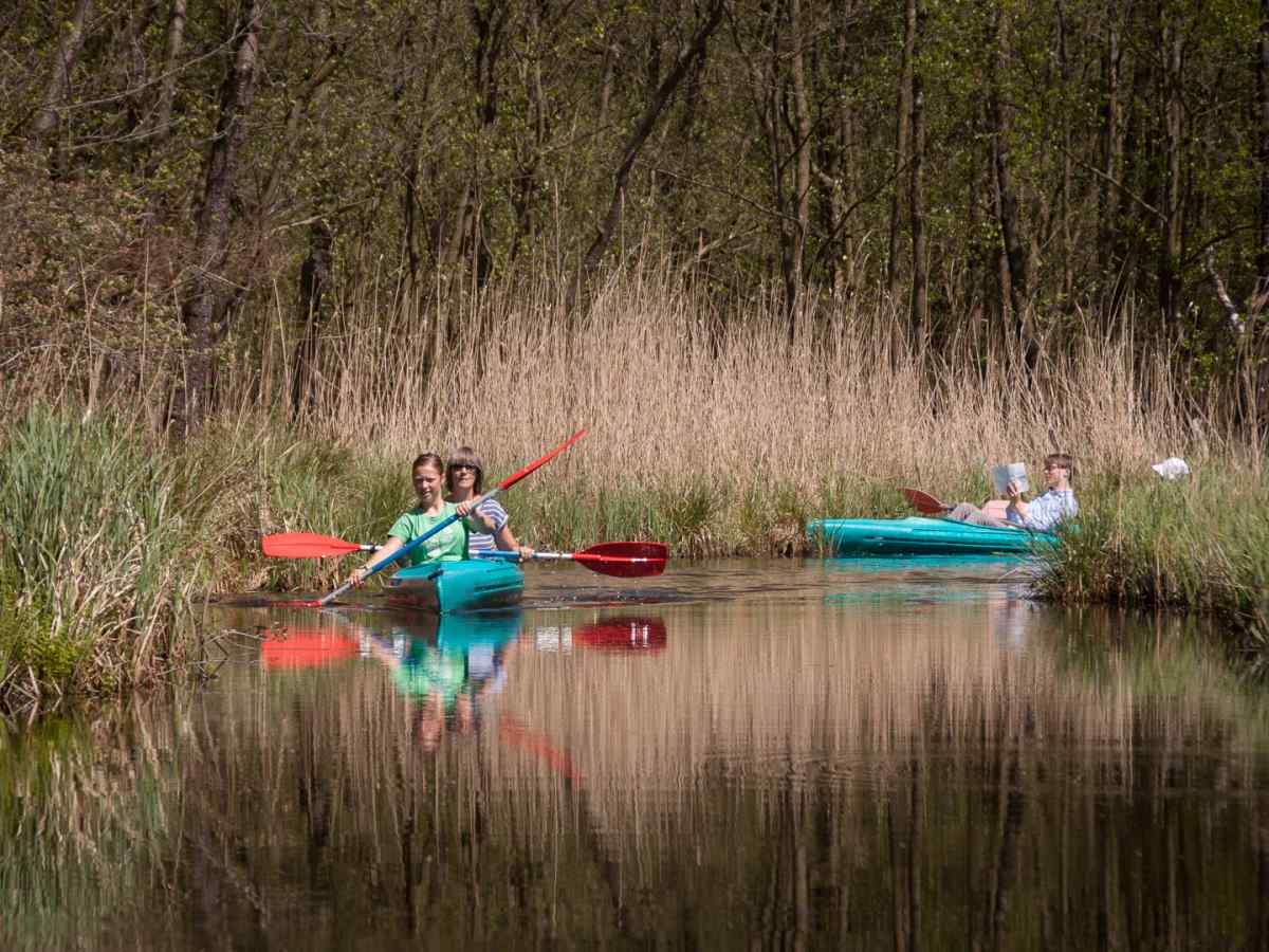 Recreatiewoning in Scherpenzeel (Fr.) voor 36 personen foto 9