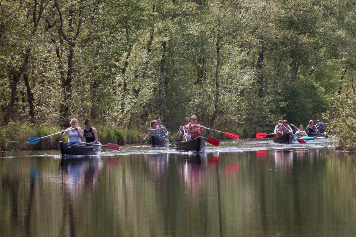 Recreatiewoning in Scherpenzeel (Fr.) voor 36 personen foto 11