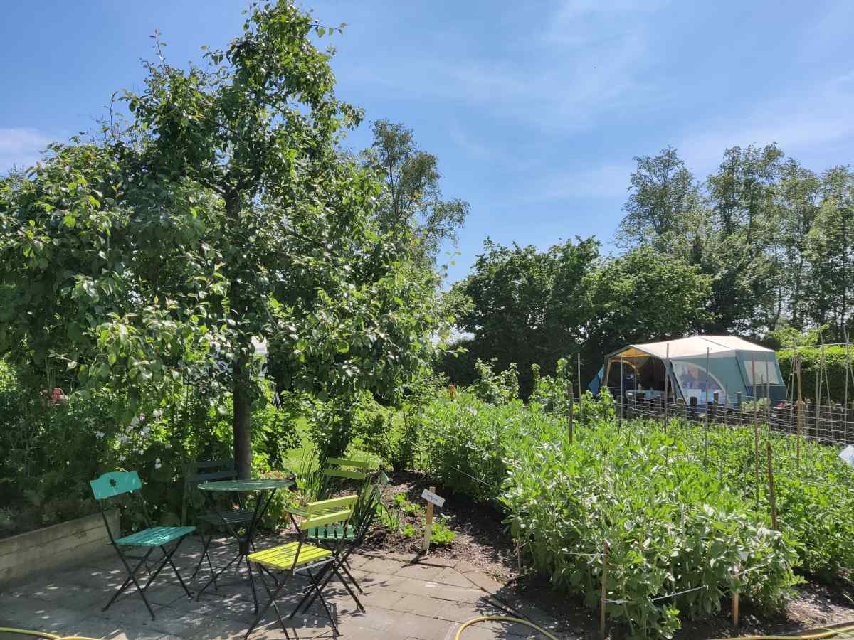 Recreatiewoning in Scherpenzeel (Fr.) voor 36 personen foto 13